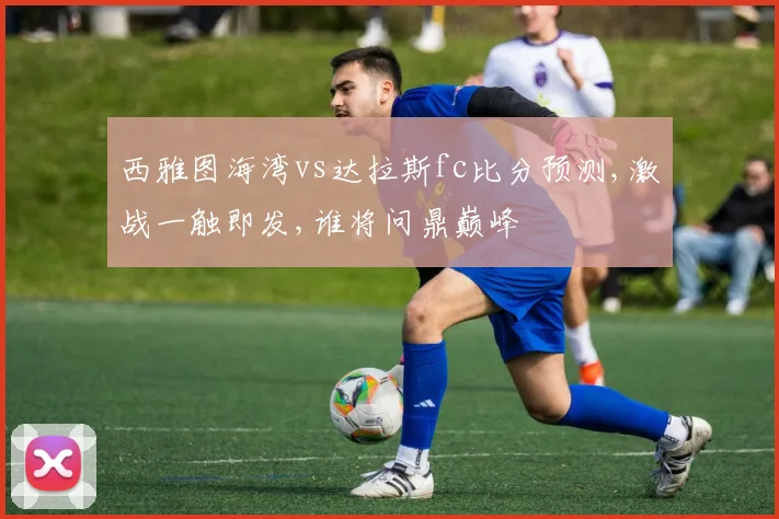 西雅图海湾vs达拉斯fc比分预测,激战一触即发,谁将问鼎巅峰