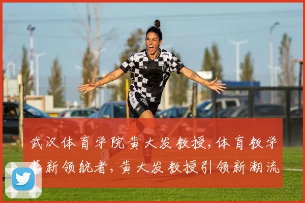武汉体育学院黄大发教授,体育教学革新领航者,黄大发教授引领新潮流
