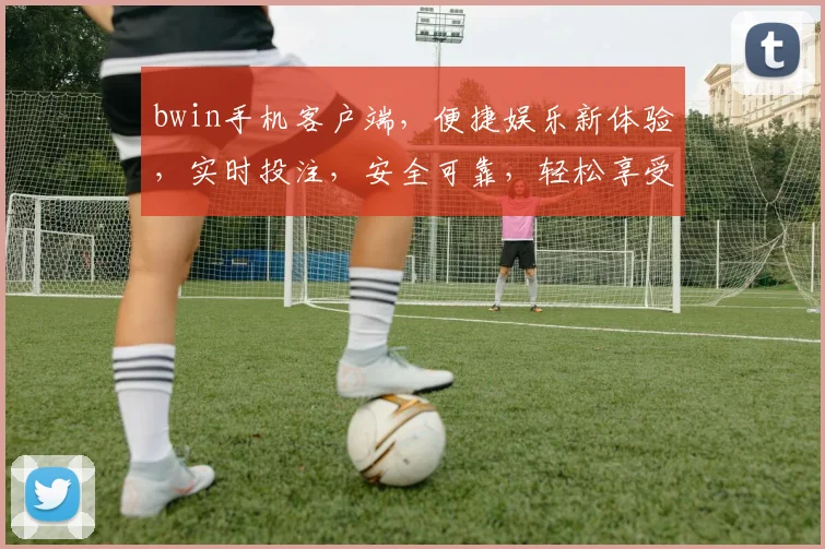 bwin手机客户端，便捷娱乐新体验，实时投注，安全可靠，轻松享受