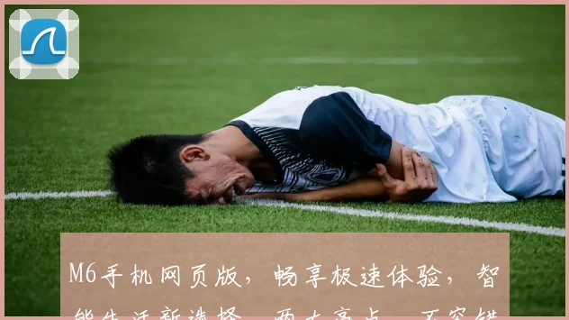 M6手机网页版，畅享极速体验，智能生活新选择，两大亮点，不容错过