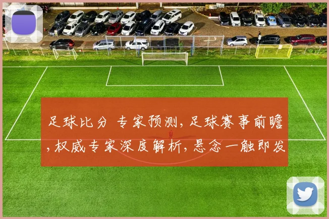 足球比分 专家预测,足球赛事前瞻,权威专家深度解析,悬念一触即发,谁将问鼎冠军