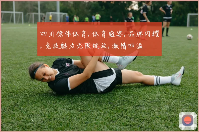 四川德伟体育,体育盛宴,品牌闪耀,竞技魅力无限绽放,激情四溢